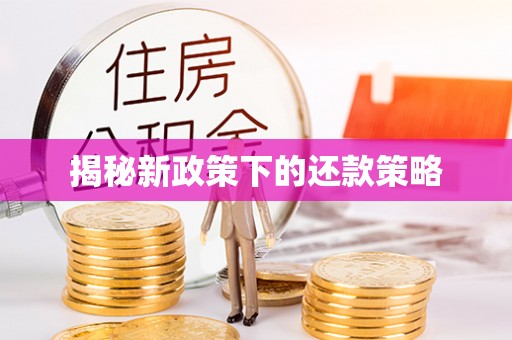 铁山揭秘新政策下的还款策略